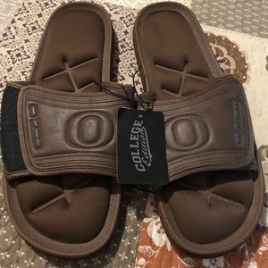 Oregon Ducks slides